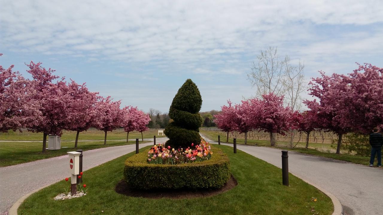 The White House Boutique B&B Niagara-on-the-Lake Exteriér fotografie